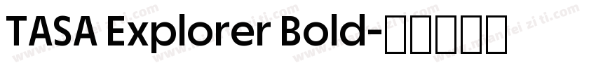 TASA Explorer Bold字体转换